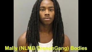 Mally (NLMB/DrenchGang) Bodies