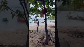 Rawai Beach Road Phuket  | Hidden Gem in Southern Thailand (4K Walk Tour)