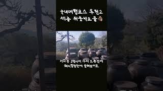 국내여행코스 추천 ⭐️ 세종 뒤웅박고을