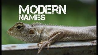 girl reptile pet names starting with v