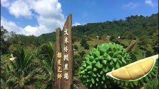 The Bentong Farm 文冬休閒農場 & Rimba by Dking @ 2 June 2023