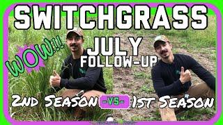 Switchgrass - GROWTH Year 1 and Year 2 follow up