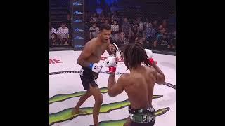 MMA mukammal janglar/perfect fights/