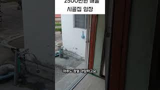 시골집 임장 다녀옴/ 2500만원 매물 구경하기