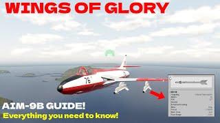 Wings of Glory Missile Guide! | AIM-9B