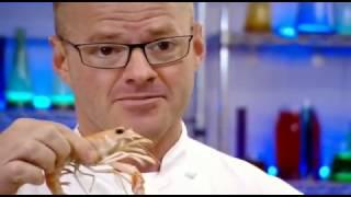 Heston's Fishy Feast | Heston's Feast S1 -Myspoon