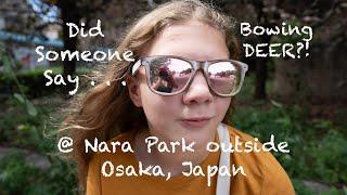 From Dotonbori to Nara Park - An Osaka Japan Travel Vlog