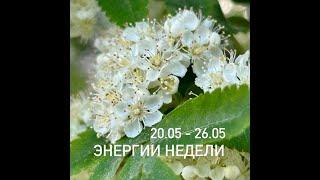 Энергии недели. Время гибкости. Лепидолит.