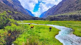 The Breathtaking Hike to Laguna 69: A Hidden Turquoise Lake in the Andes Mountains 