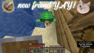playing minecraft again crazy turtle XD