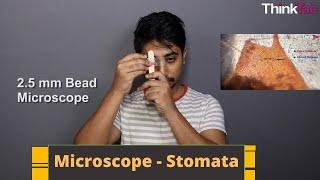 Microscope - Stomata | ThinkTac | DIY Science