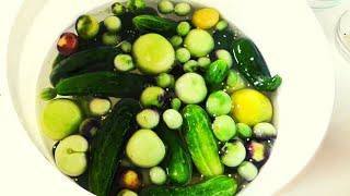 Homemade pickle recipe