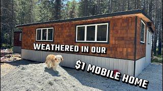 Our $1 Mobile Home is weathered in