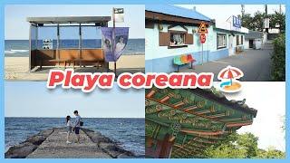 Vlog GANGNEUNG  BTS Bus Stop, Filmación de Goblin, Ojukheon, Calle de Café, Playa Gyeongpo ️
