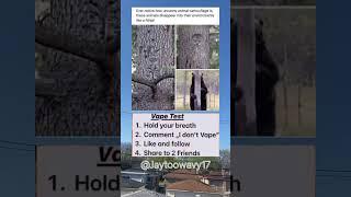 Where did the bear go#memes #trending #viralvideo #shorts