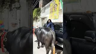 3 2025 Bakra Eid Aane Wali Hai 7 tarikh #emotional #shorts #islamic
