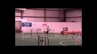 24k Retrievers - Canine Agility - Ammo Martel - clip 0025