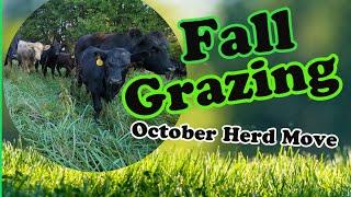 Morning Herd Move On A Regenerative Farm / Grazing Acres Farm central Ohio