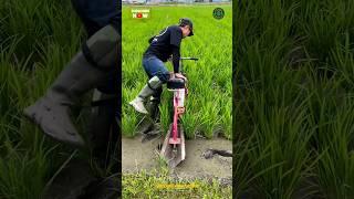 Paddy Farming Machine | Modern Rice Farming Technology