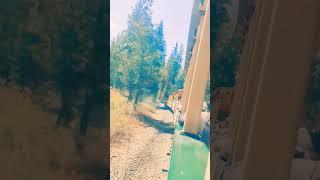 trainrideinsilverwood#lifeinamerica #indianvloggerinamerica #ytshorts #lifestyle vlogs#August18 2023