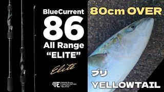 【ヤマガブランクス】BlueCurrent 86 All Range “ELITE” VS ブリ