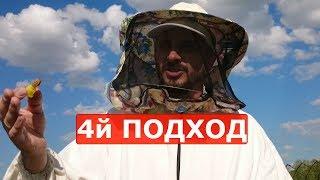 деление семей с постановкой маточника в многокорпусном улье