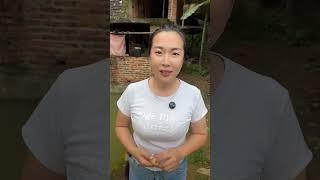 旅游在 美丽的西双版纳 在一处 芭蕉林里 有了这位 漂亮的小姐姐  #中缅边境#六国交界#老挝山#记录真实生活 #乡村守护人 #我的乡村生