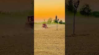 Belarus510 Golbal lovers#fyp  #belarus510 #tractor #tractorlover