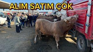 KIRIKKALE HAYVAN PAZARI 15 NİSAN/KURBANLIK FİYATLARI GÜNCEL
