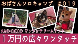 【おばキャン】19 広々ワンタッチテントで犬まみれ