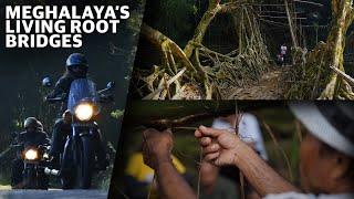 Meghalaya’s Living Root Bridges | UNESCO X Royal Enfield