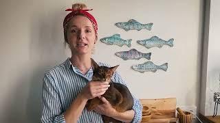 Покажи натуральное питание для кошек SUPERPET — видео-распаковка от Дарьи и её питомца