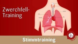 Stimmtraining - Das Zwerchfell trainieren für eine kraftvolle Stimme