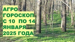 ПОЧЕМУ С 10 ПО 14 ЯНВАРЯ НЕЛЬЗЯ НАЧИНАТЬ НОВЫЕ ДЕЛА И ПРОЕКТЫ?