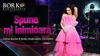 Diana Bucsa & Borko Radivojevic orchestra - Spune mi inimioarà