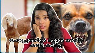 True Story|5-ആം ക്ലാസ്സിൽ ഉണ്ടായ അനുഭവം പേടിച്ചു കരഞ്ഞ രാത്രികൾ|Mental trauma|