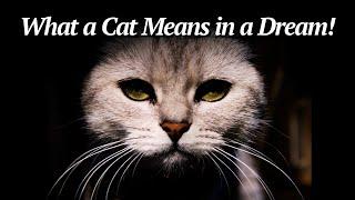 What a Cat Means in a Dream/Dreams about cats/Biblical Dream Interpretation!