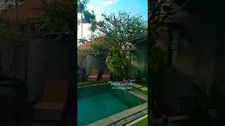 Private pool villa in Canggu Bali #shorts #villa #poolvilla #pool #privatevilla