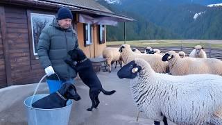 Family Life in a Remote Village in Ukraine Cooking Meat in French