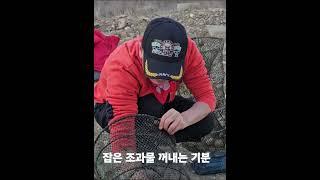 어디보자 반갑다