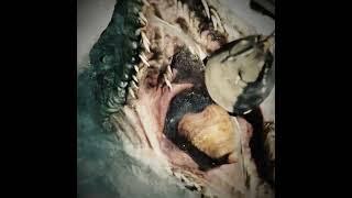 The strongest creature. | Mosasaurus Edit.