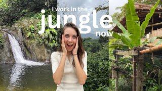 I applied to be a content creator in the rainforest - AND THEY TOLD ME TO COME!