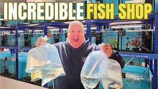 I got INVITED to this INCREDIBLE FISH SHOP to see some BEAUTIFUL FISH | Premier Aquatics