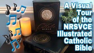  A Visual Tour  NRSVCE Illustrated Catholic Bible (Bible Review)