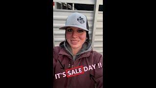 SALE Day!