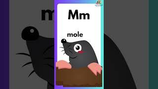 Fun Letters of the Alphabet Posters for Kids abc #shorts #alphabets #trending #trendingshorts