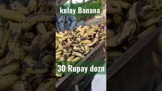 Vekh Oye Banana 30 Rupees Dozn #shorts #lahore #bananna