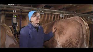 Schweiz: Bergbauern in Not - Reportage über Caritas-Bergeinsatz