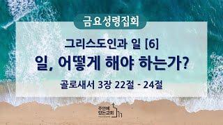 [금요성령집회] 2024년 12월 6일(금)ㅣ그리스도인과 일 [6] 일, 어떻게 해야 하는가?ㅣ골3:22-24ㅣ정한영 목사