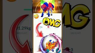 First Ever Zamazenta Raid in pokemon go #pokemongo #pokémon